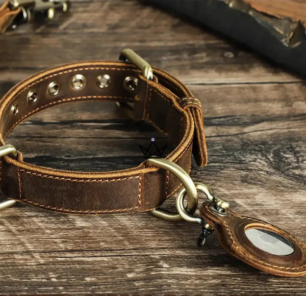 Personalisierbares Lederhalsband für Hunde, AirTag-Fach – Voyager Argos