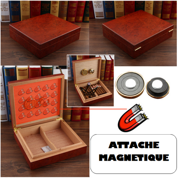Cave à cigares Wood Magnet — cèdre espagnol, hygromètre magnétique | 20 cigares – 3/30