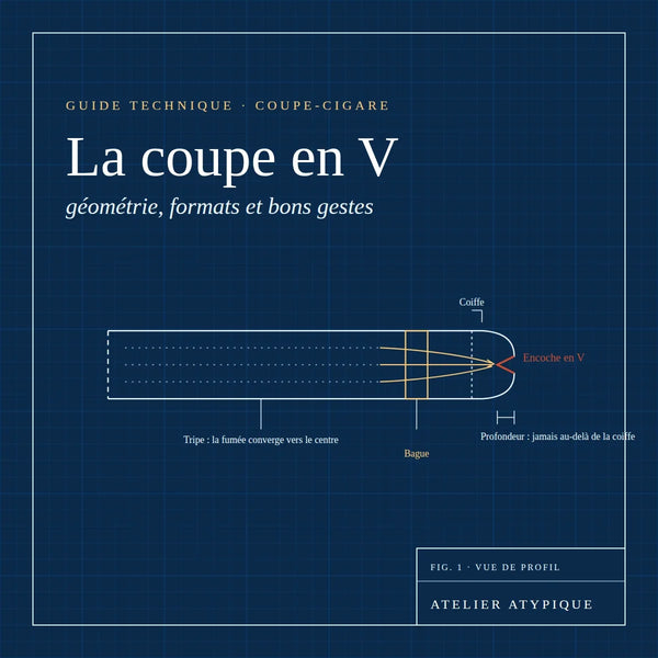 Coupe en V : guide pour concentrer les arômes du cigare