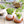 EGGLING - L'oeuf plante X3 -  - Plante - Cadeau, Noël, Anniversaire, Original - Atelier Atypique