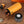 Cave à cigare Cylindre COHIBA cuir ouverte voyage 