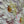 Peinture à l'huile sur toile XXL - Éclat Floral -  - toile - Cadeau, Noël, Anniversaire, Original, Fête des pères, fête des mères - Atelier Atypique