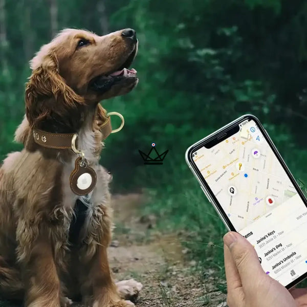 Personalisierbares Lederhalsband für Hunde, AirTag-Fach – Voyager Argos