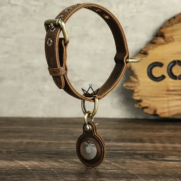 Personalisierbares Lederhalsband für Hunde, AirTag-Fach – Voyager Argos
