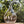 Blown glass Klein bottle, mathematical object - TOPOS