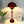 Lampe à poser - Flowerpot Chromatique by A.A. -  - Lampe Déco - Cadeau, Noël, Anniversaire, Original, Fête des pères, fête des mères - Atelier Atypique