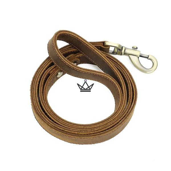 Personalisierbare Hundeleine aus Leder – Traveller Canis Lupus
