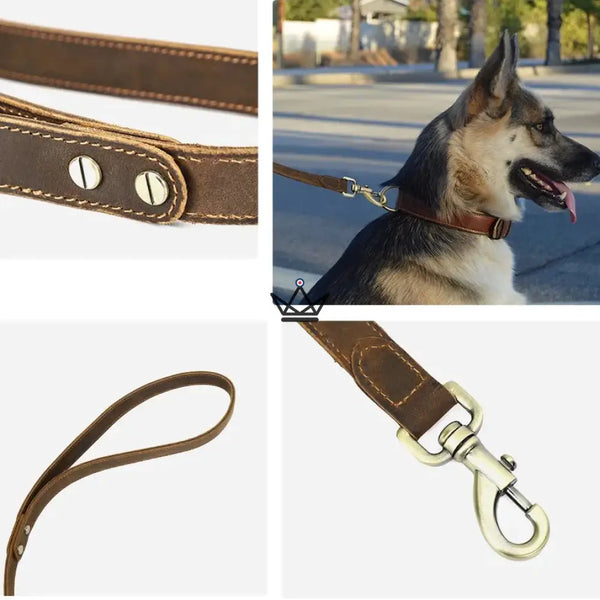 Personalisierbare Hundeleine aus Leder – Traveller Canis Lupus