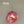 47740681584963|47740681617731|47740681650499|47740681683267|47740681716035