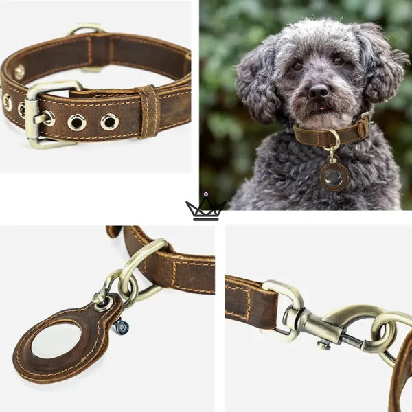 Personalisierbares Lederhalsband für Hunde, AirTag-Fach – Voyager Argos
