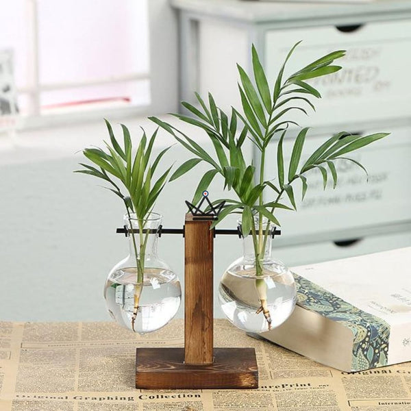 Terrarium en ampoule - EKY - Atelier Atypique