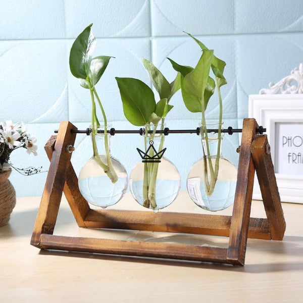 Terrarium en ampoule - TERRA - Atelier Atypique