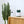 Lampe Piège Anti-Moustiques - CACTUS - Atelier Atypique